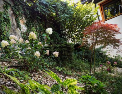 Photo of a garden in Nagymaros. Beautiful flowers