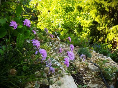 Photo of a garden in Nagymaros