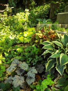 Photo of a garden in Nagymaros