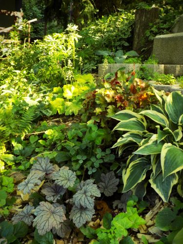 Photo of a garden in Nagymaros