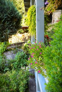 Photo of a garden in Nagymaros