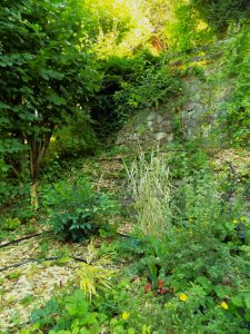 Photo of a garden in Nagymaros. Beautiful flowers