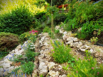 Photo of a garden in Nagymaros. Slopes, roses