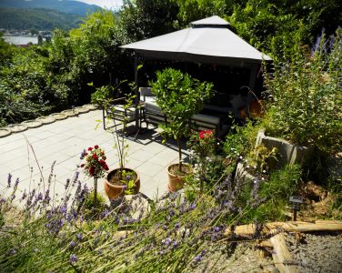Photo of a garden in Nagymaros. Beautiful flowers