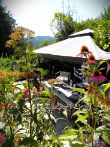 Photo of a garden in Nagymaros. Beautiful flowers