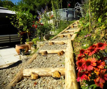 Photo of a garden in Nagymaros. Pathway and flowers